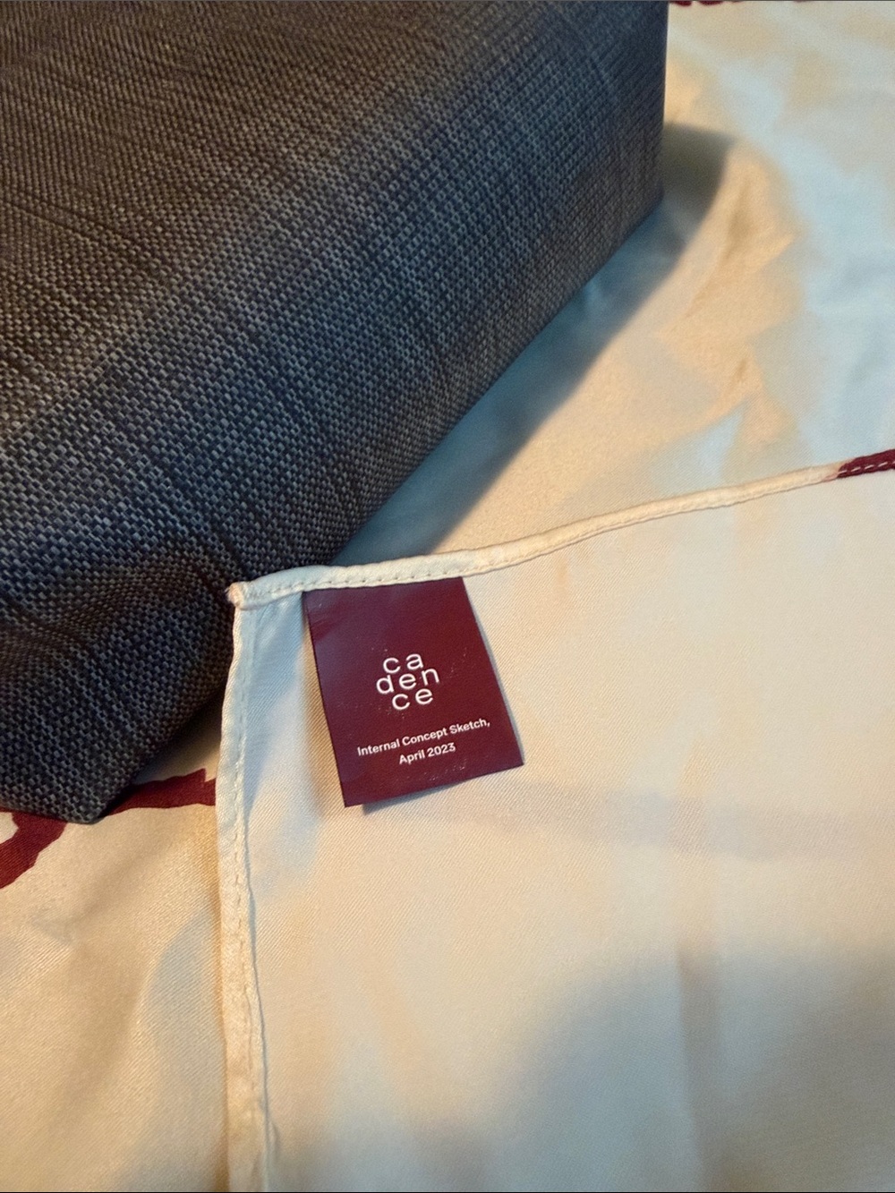 Cadence small parcel prototype in gray. - Picture 7 of 8